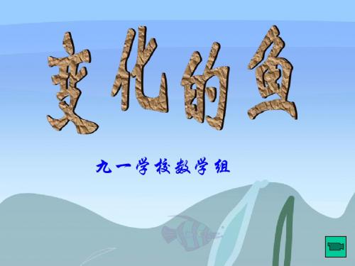 变化的鱼
