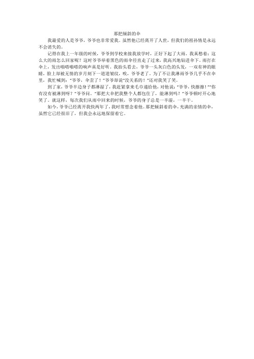 那把倾斜的伞_初中作文