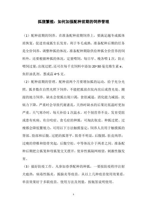 狐狸繁殖：如何加强配种前期的饲养管理
