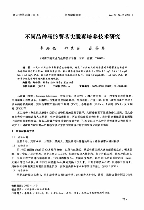 不同品种马铃薯茎尖脱毒培养技术研究