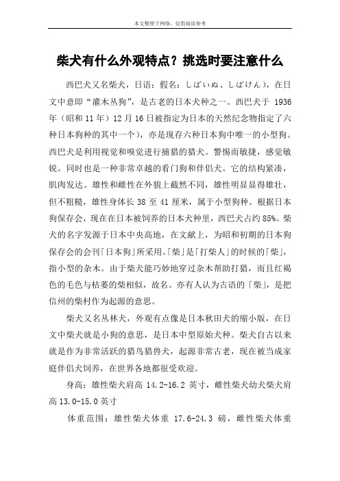 柴犬有什么外观特点？挑选时要注意什么