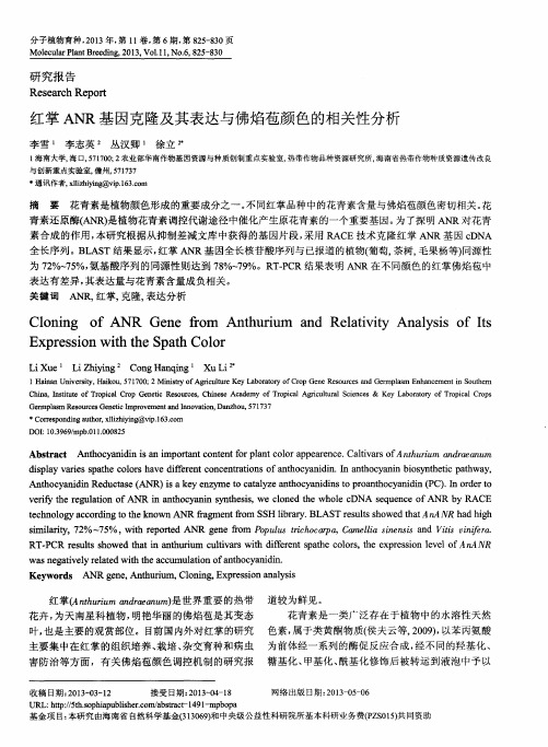 红掌ANR基因克隆及其表达与佛焰苞颜色的相关性分析