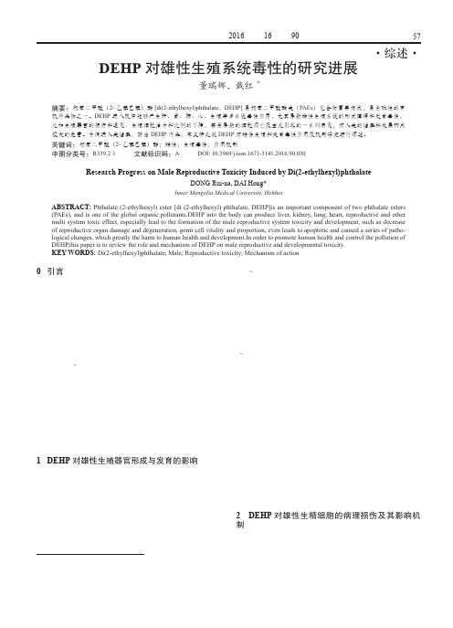 DEHP对雄性生殖系统毒性的研究进展