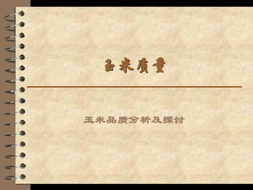 玉米质量