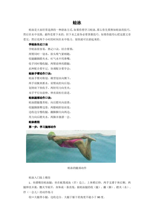 蛙泳