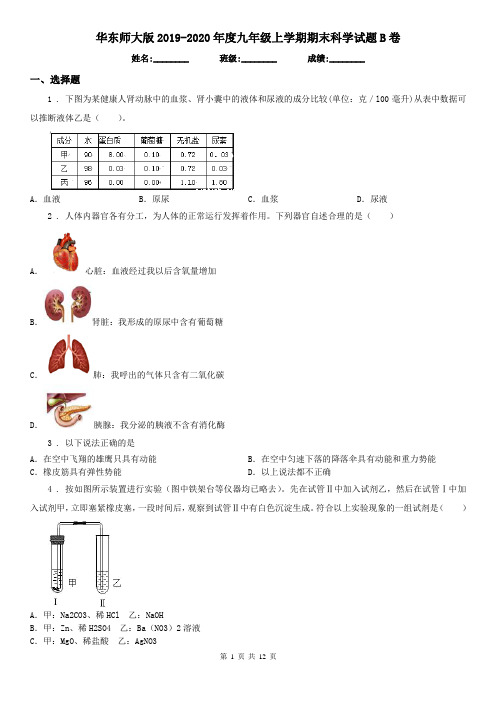华东师大版2019-2020年度九年级上学期期末科学试题B卷