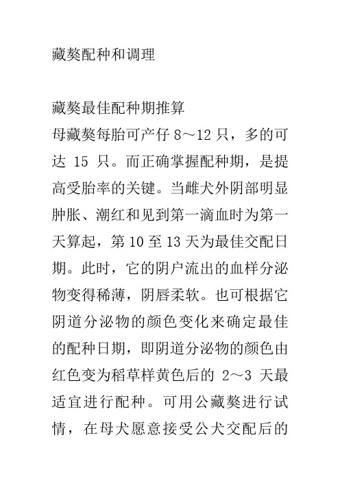 藏獒配种和调理