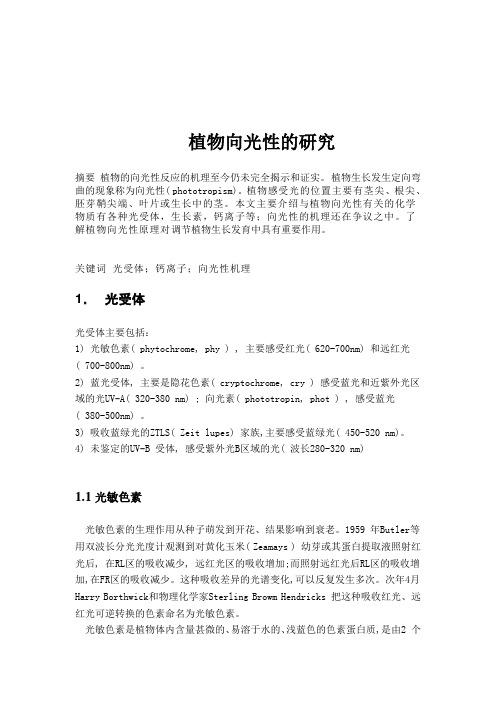 植物的向光性研究