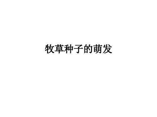 牧草种子的萌发