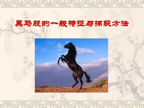 黑马股的一般特征与捕获方法共43页文档