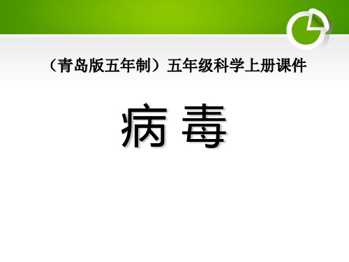 《病毒》-优质精选PPT