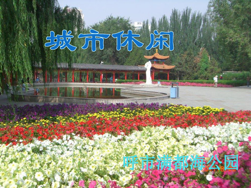 呼市满都海简介ppt