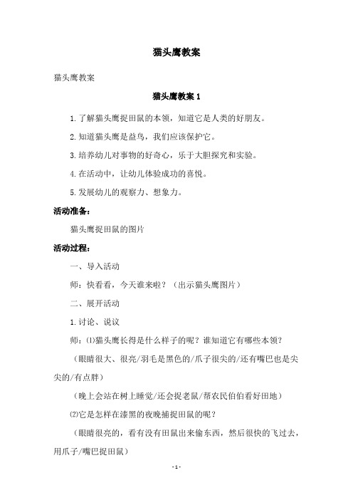 猫头鹰教案