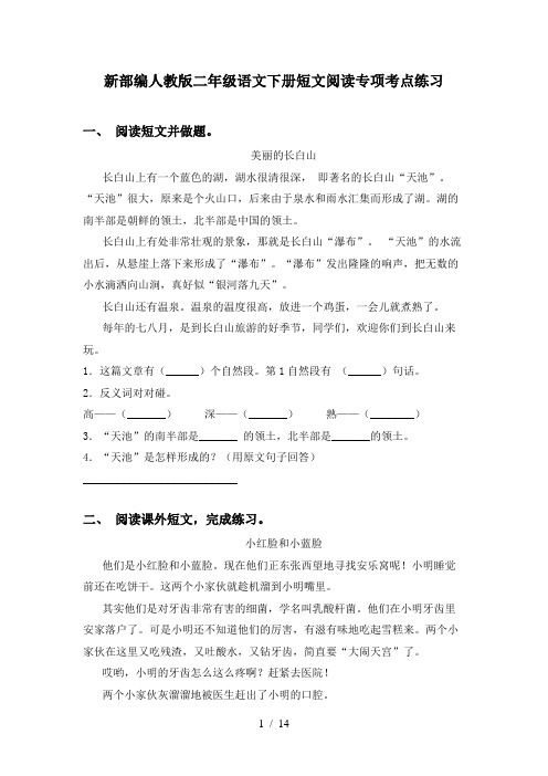 新部编人教版二年级语文下册短文阅读专项考点练习