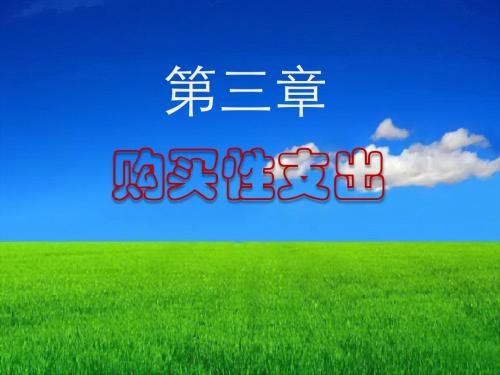 第03章 购买性支出