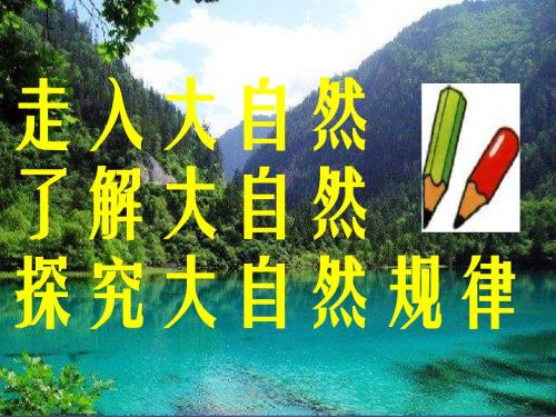 9自然之道(完美公开课)