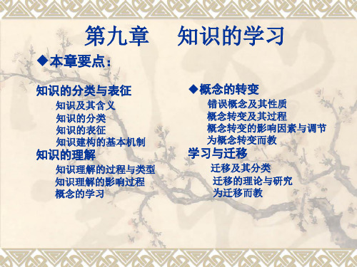陈琦教育心理学之- 知识的学习