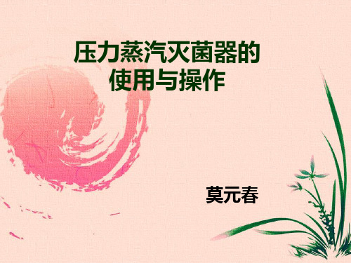 高压灭菌.PPT课件