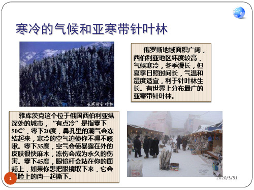 俄罗斯第二课时 PPT课件