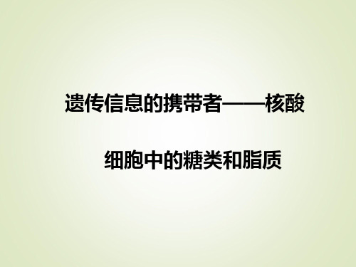 高中生物《核酸、糖类和脂质》优质教学课件