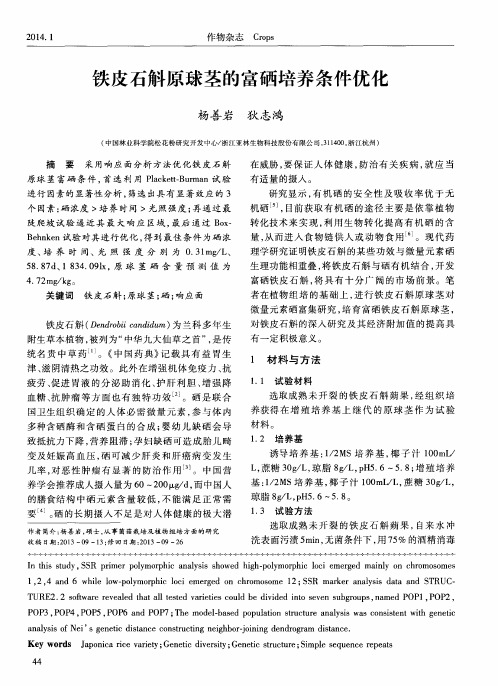 铁皮石斛原球茎的富硒培养条件优化
