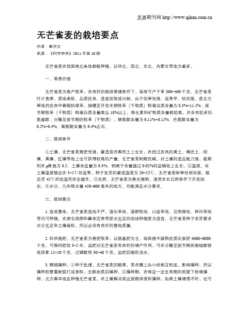 无芒雀麦的栽培要点