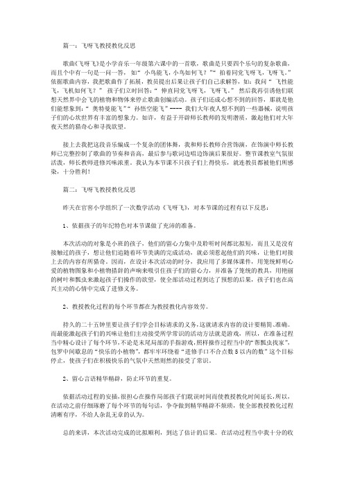 飞呀飞教学反思