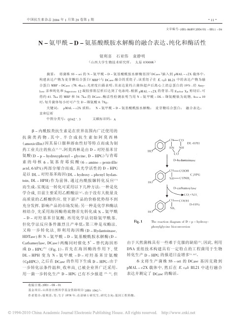 N_氨甲酰_D_氨基酸酰胺水解酶的融合表达_纯化和酶活性