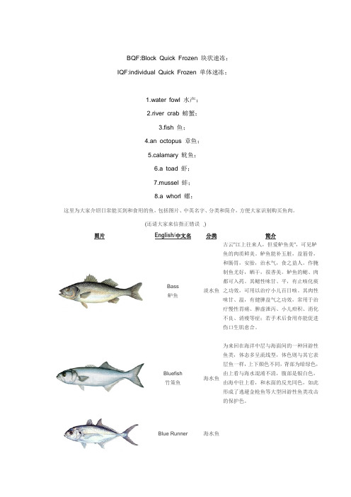 鱼类英语