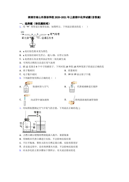 深圳市南山外国语学校2020-2021年上册期中初三化学试题(含答案)