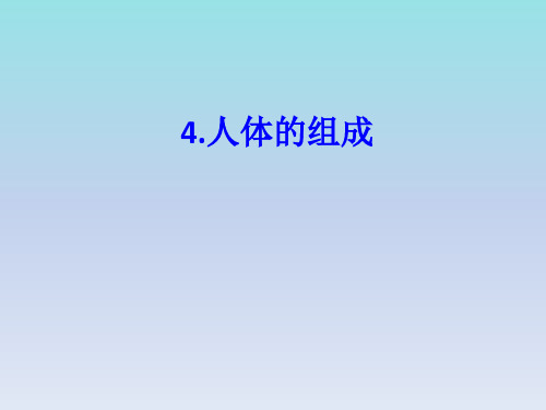 六年级科学下册课件   4奇妙人体    冀人版   共14张