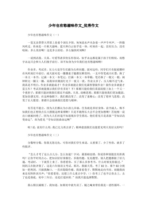 少年也有愁滋味作文_优秀作文.doc