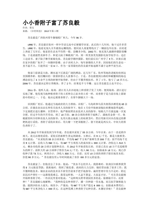 小小香附子富了苏良毅