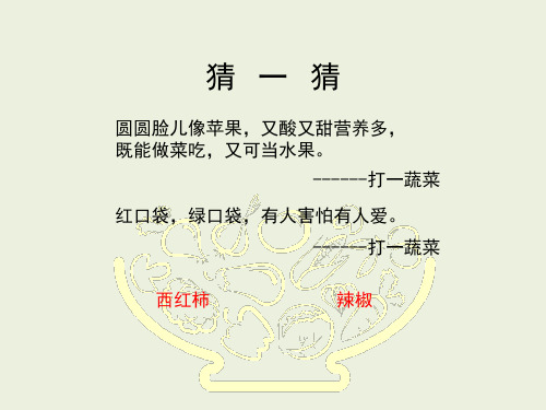 《我家的菜篮子》教学课件