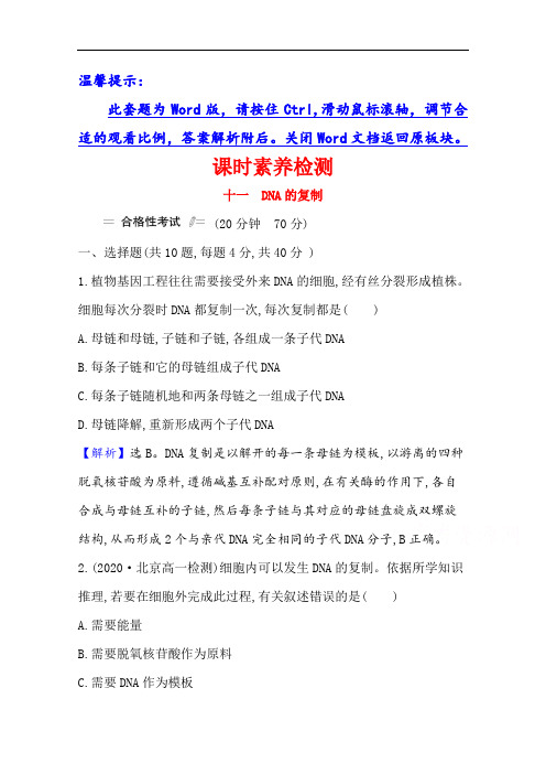 2020-2021学年生物人教版必修2素养检测：3.3 DNA的复制
