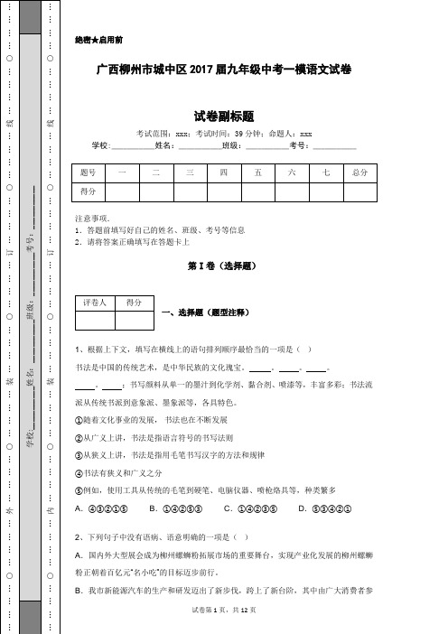 广西柳州市城中区2017届九年级中考一模语文试卷