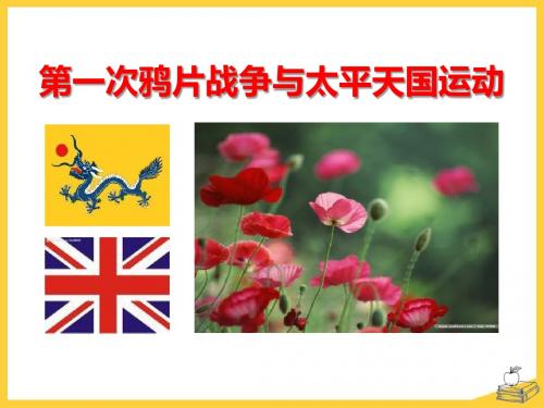 《第一次鸦片战争与太平天国运动》列强侵略与中华民族的救亡图存PPT课件2 (共35张PPT)