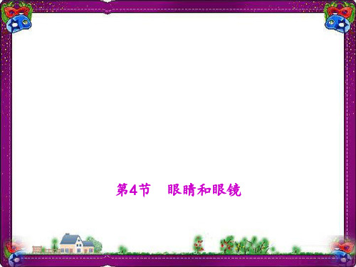 眼睛和眼镜 (公开课)获奖课件