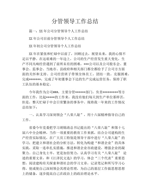 分管领导工作总结