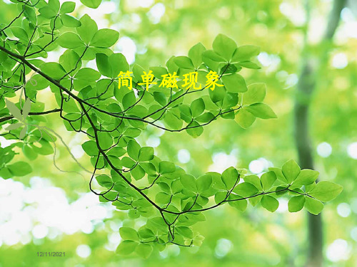 九年级物理 14.1 简单磁现象课件2物理课件