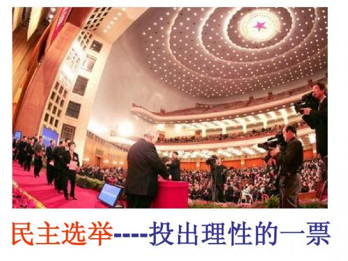 四民主选举--投出理性的一票