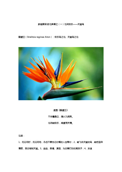 奇花异草之鹤望兰