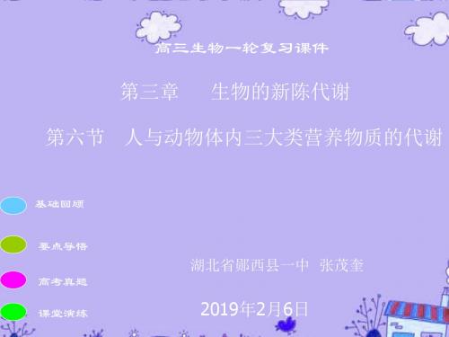 高三生物一轮复习人和动物体的三大营养物质代谢课件