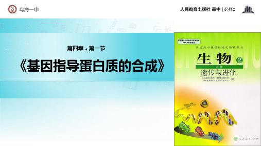 高中生物必修2《第3章遗传信息的复制与表达第2节遗传信息的表达一基因控制蛋...》356北师大PPT课件