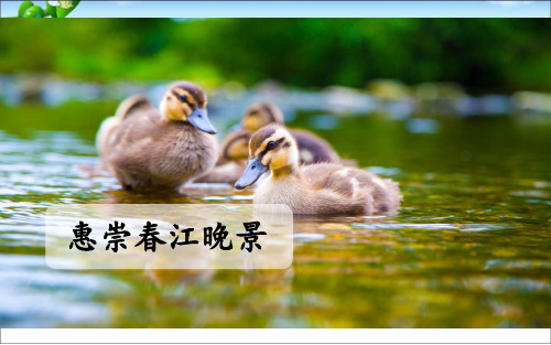 人教部编版三年级语文下册《惠崇春江晚景》精品教学课件