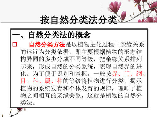 02_03_02-03任务3 按自然分类法分类