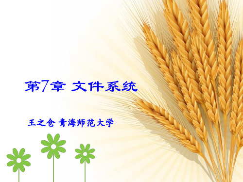 第7章 文件系统
