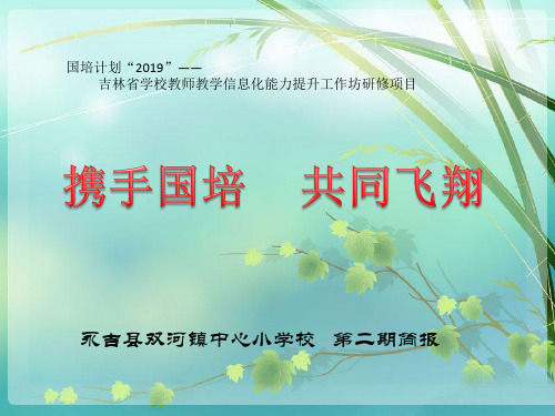 双河镇小学国培简报    二