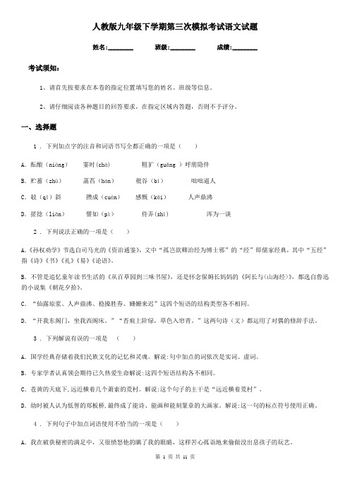 人教版九年级下学期第三次模拟考试语文试题