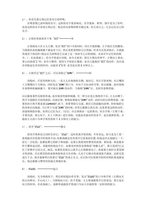 幼犬的训练教育-基本服从训练
